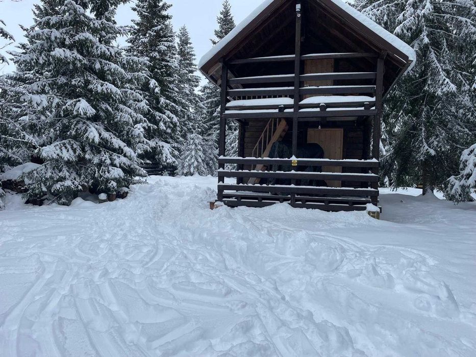 Oportunitate Rara – Cabana izolata in padure, teren 1000mp, la 10 minute de partie, Marisel