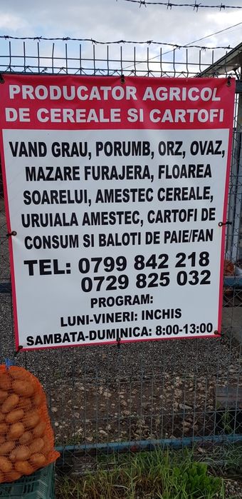 Vând mazăre furajera
