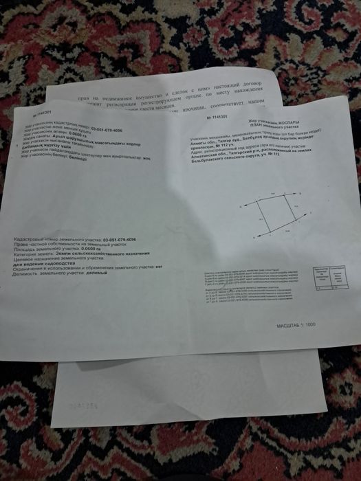 Участок в Мичурине