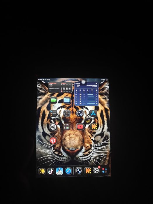 iPad Mini 5 Rose gold