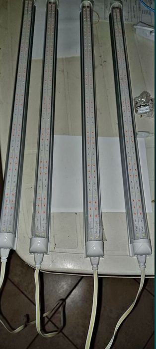 Фито Лампа,Разсад,Лампа