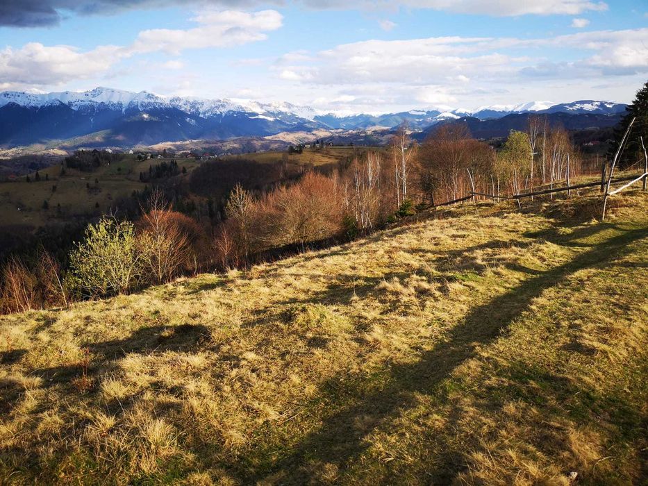 Teren intravilan cu PUZ sat Pestera - Moieciu - 4000 mp (apa, gaz, curent)