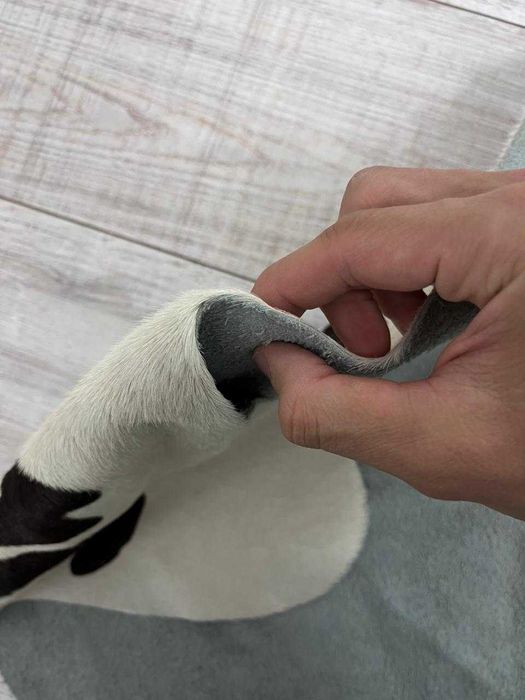 Продам ковер из шкуры зебры