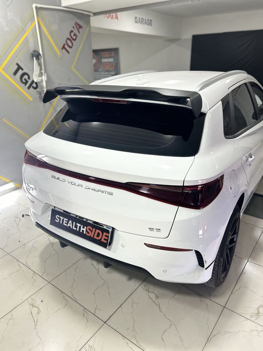 BYD e2 Spoiler Спойлер. Антикрыло Хвост Individual
