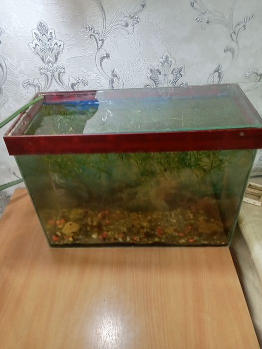 Продается аквариум