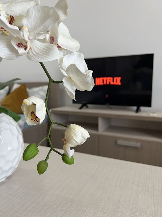 regim hotelier - Ared Kauffland sau Adora Park