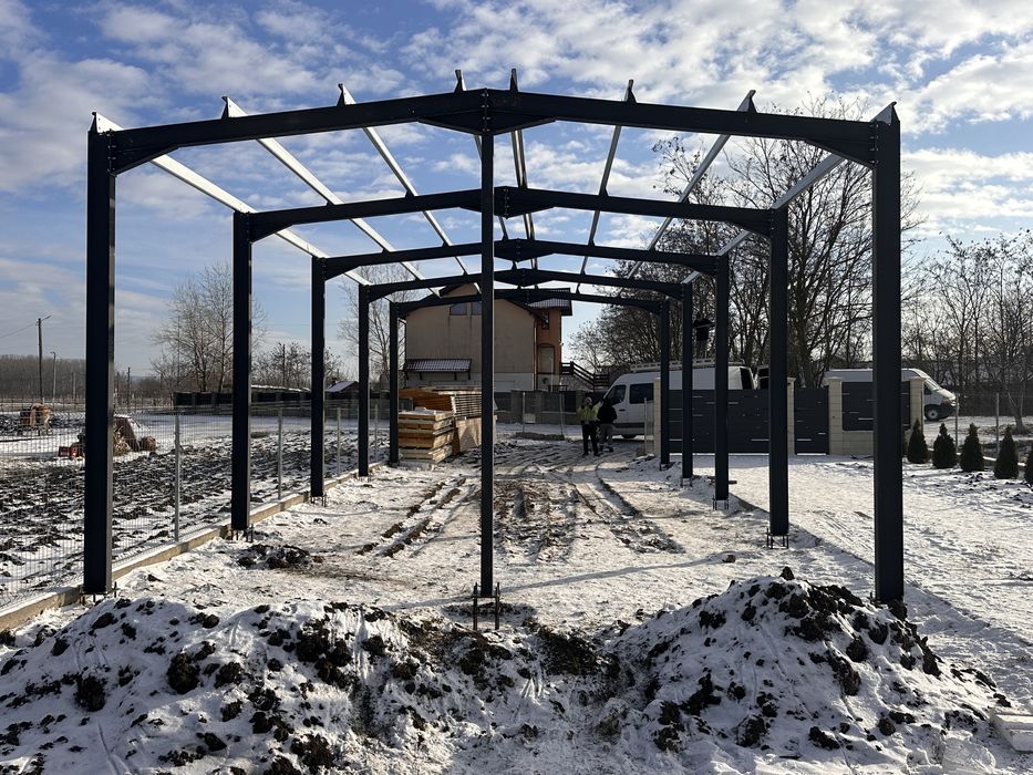 Vand hala pe structura metalica   panouri 12x20x5