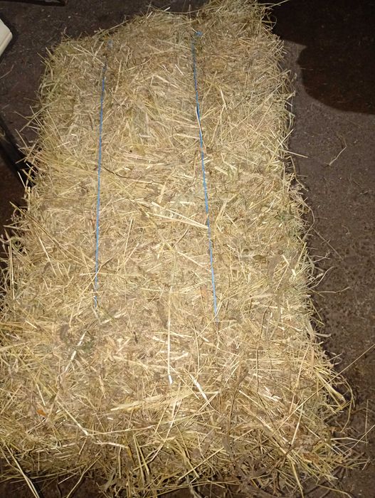 Vînd baloți de fân din producția 2025 dreptunghiulari,