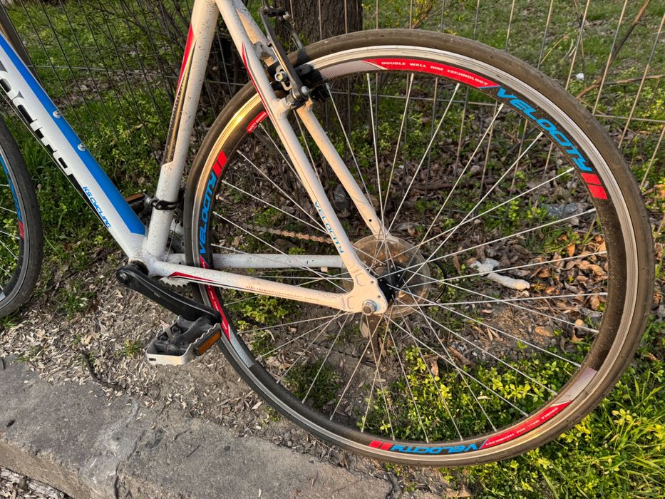 Bicicleta Velocity