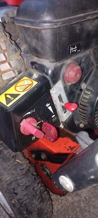 Снегорин  Ариенс