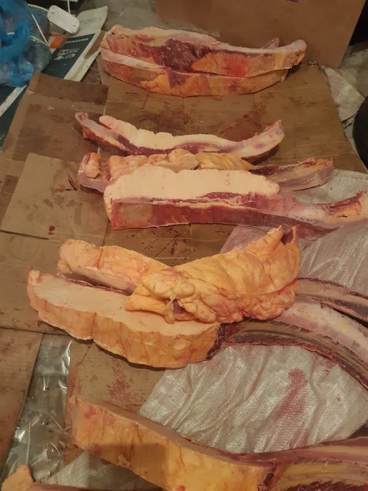 Мясо конины аяқтап