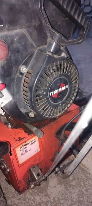 Снегорин  Ариенс