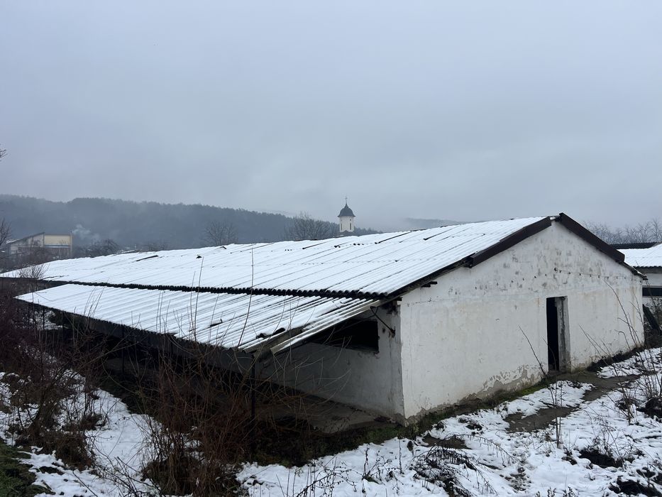 Hale spatiu comercial teren