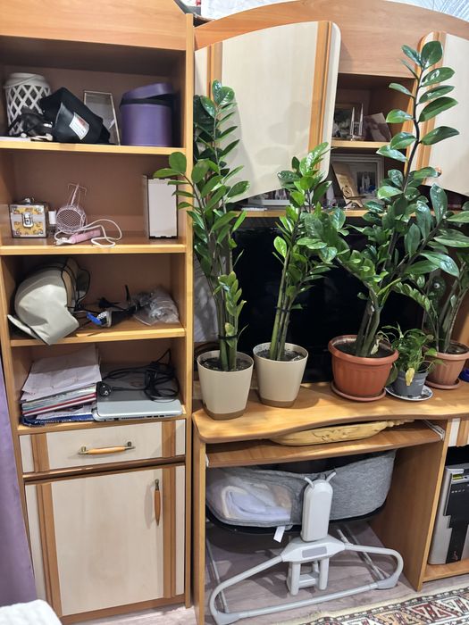 продам шкаф для детской с компьютерным столиком