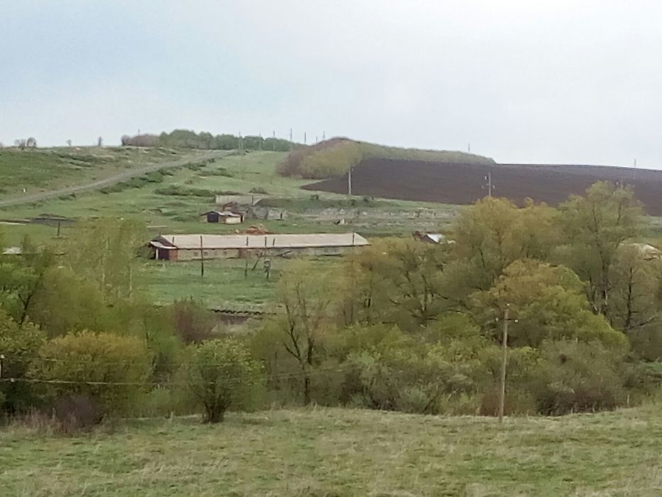 Продам дворы сСекисовка