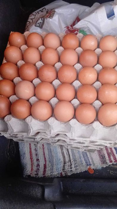 Oua naturale din propria gospodarie