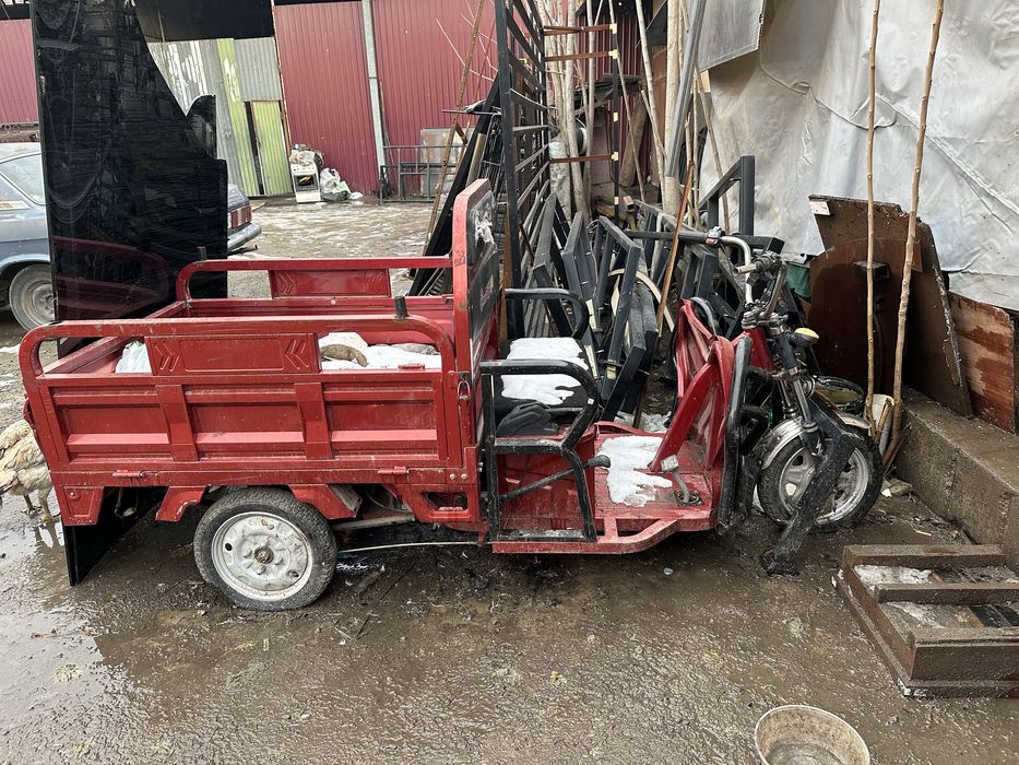 muravey skuter elektro