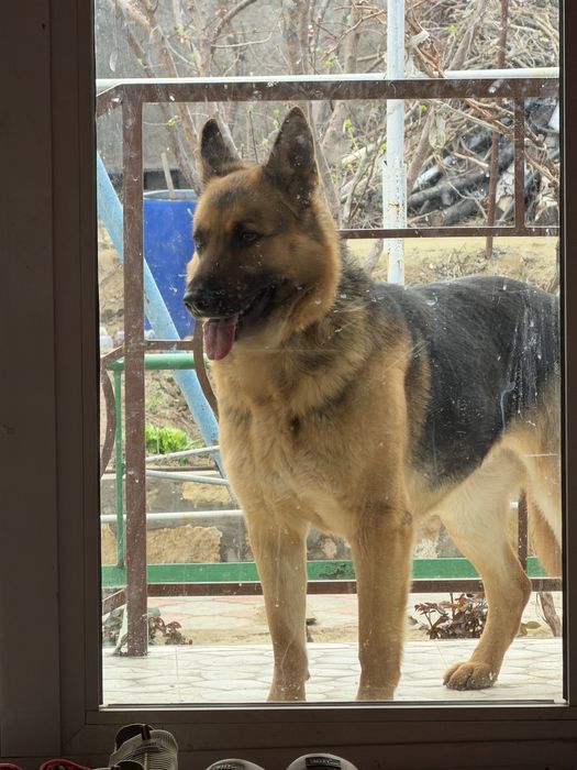 Вязка девушка. Кушиш мода.