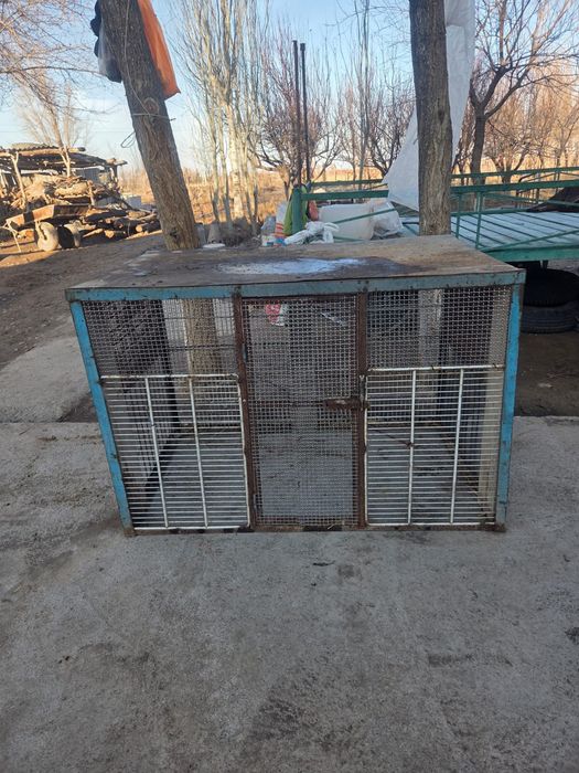 Клетка сатылады жақ