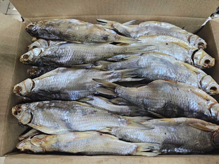 Вяленная вобла,чехонь