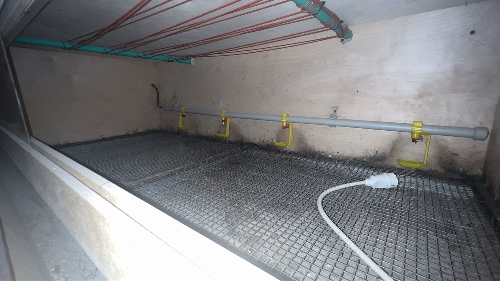 Брудер автоматический на 200 голов