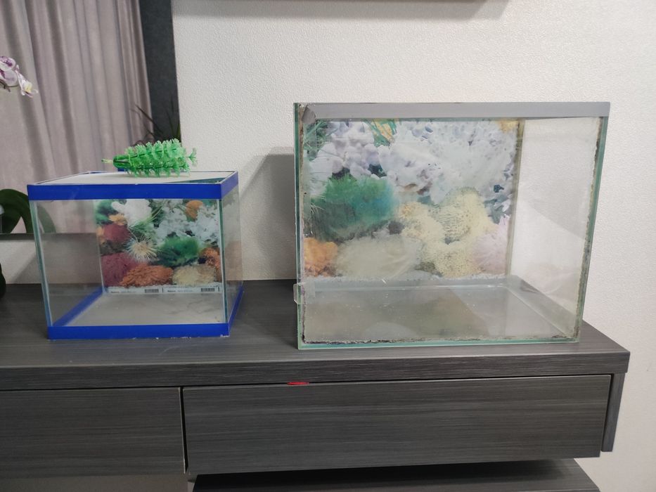 Продается не дорогоАквариум 30л и 10л