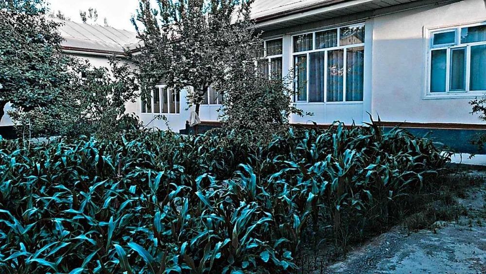 Срочно ховли сотилади. Каттакурган шахрида 8 сотыхли