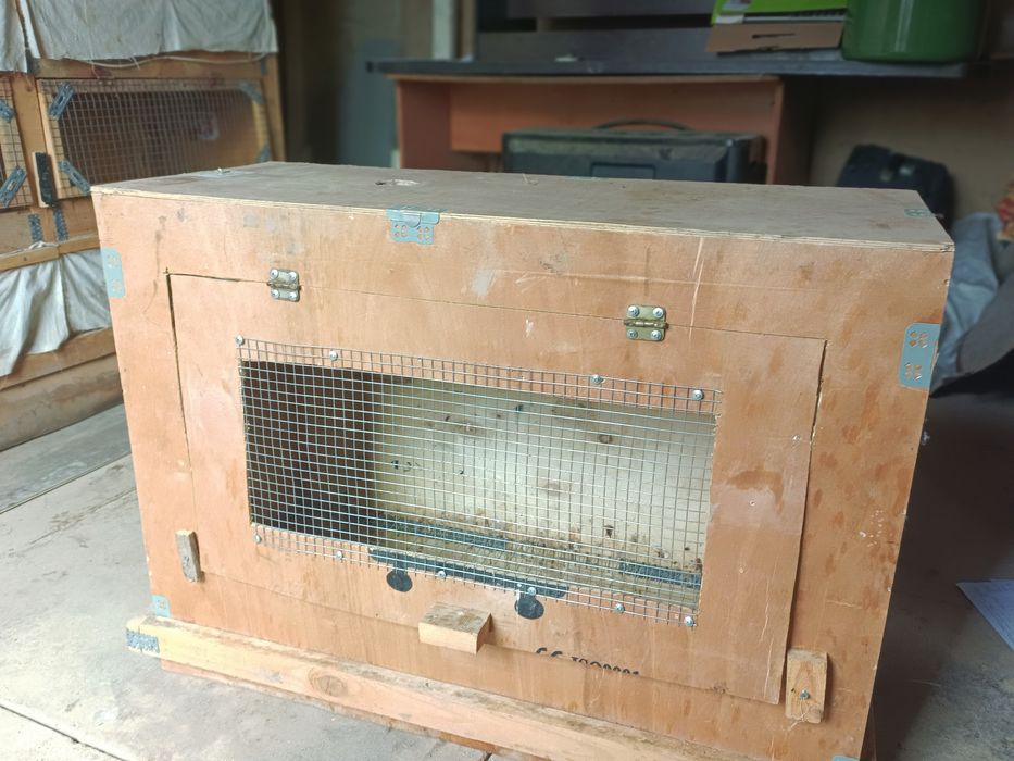 Брудер балапандарына араналған сатылады