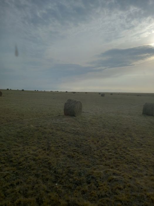 Продам сено разнотравье