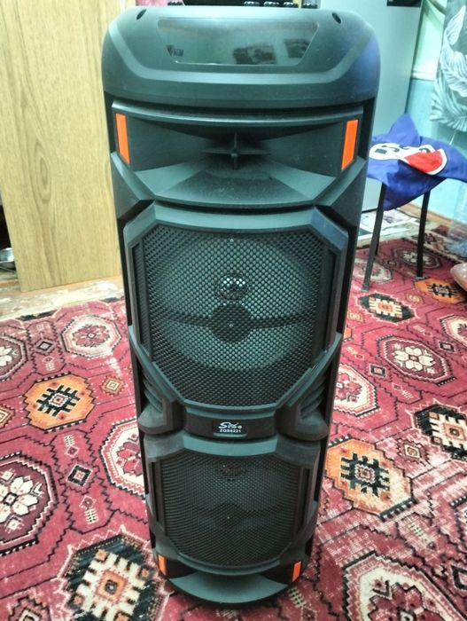 Караоке колонка Sing-e ZQS-8221 Bluetooth с пультом и микрофоном