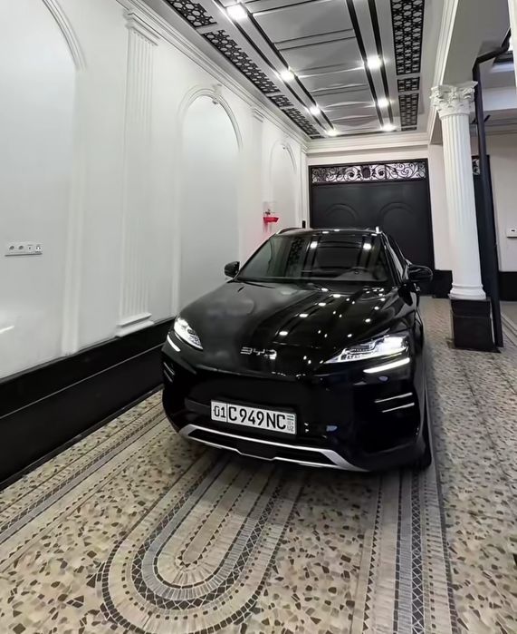 Byd champion restayling 605 full