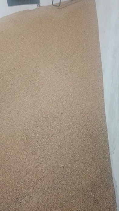 Продам пшеницу высокого сорта