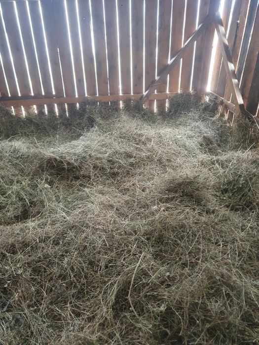 Fan de vanzare,ieftin și bun!Vrancea