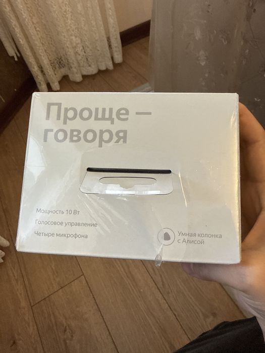 Алиса станция мини