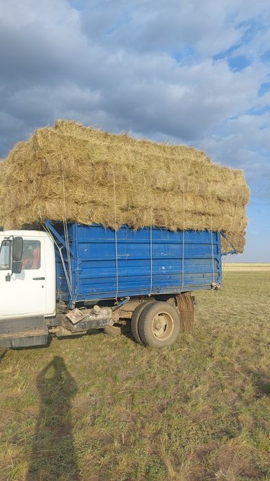 Шоп ( Сено ) 800тг