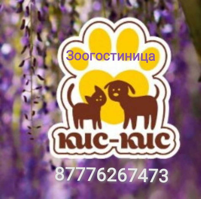 Зоогостиница КИС-КИС