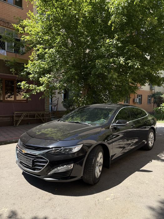 Malibu 2 2022 kraska toza
