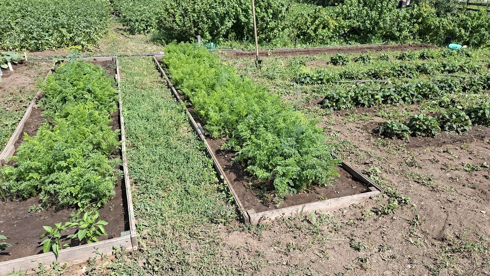 Продам дачу в обществе "Союз"