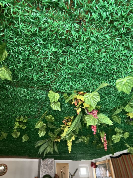 Искусственные растения