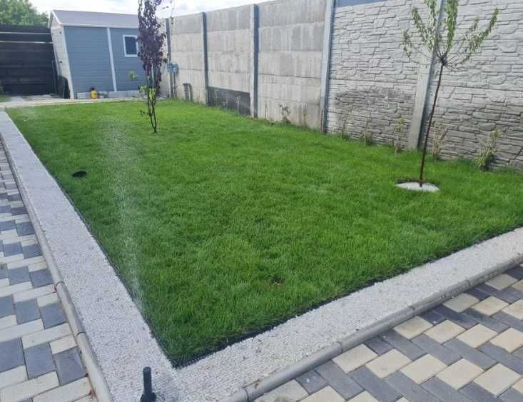 Gazon Rulou Calitate extra