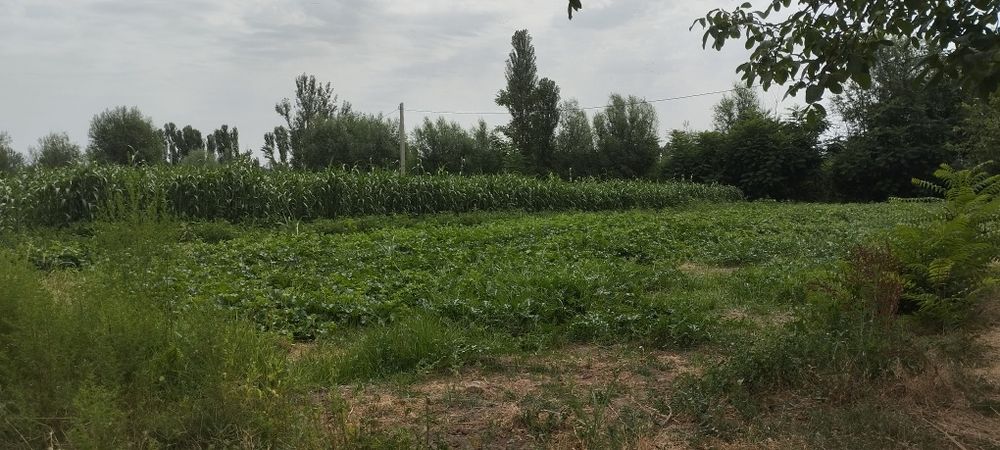 Букв МФЙ Қалғанср кочаси