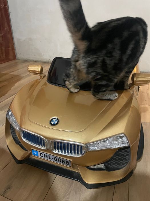 Детский электромобиль