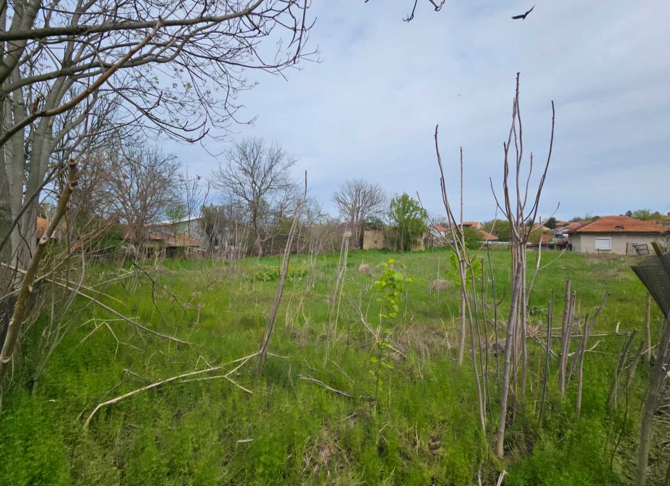 Продава се Парцел в с. Поликраище, Област Велико Търново - 1000 кв.м за 22 €/кв.м - Снимка #4