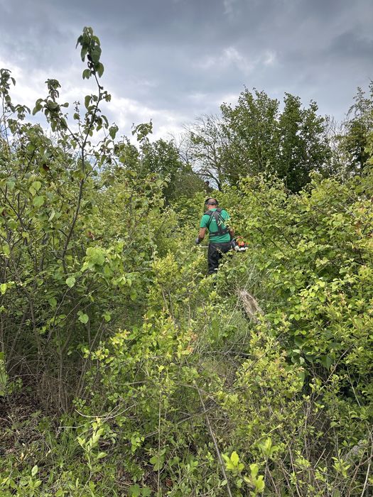 Разчистване на дворове, мулчиране, почистване на неподдържани парцели