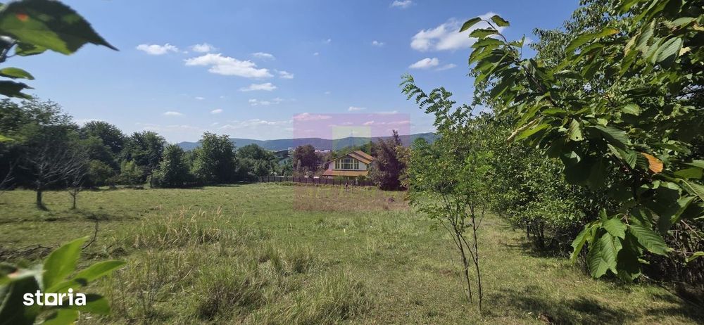 Teren intravilan de vanzare 2500 mp in Banesti