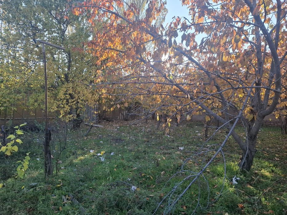 Oqtosh tomonda dacha uchun joy