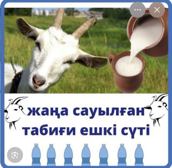 Ешкі сүті бар. 700тг л козье молоко