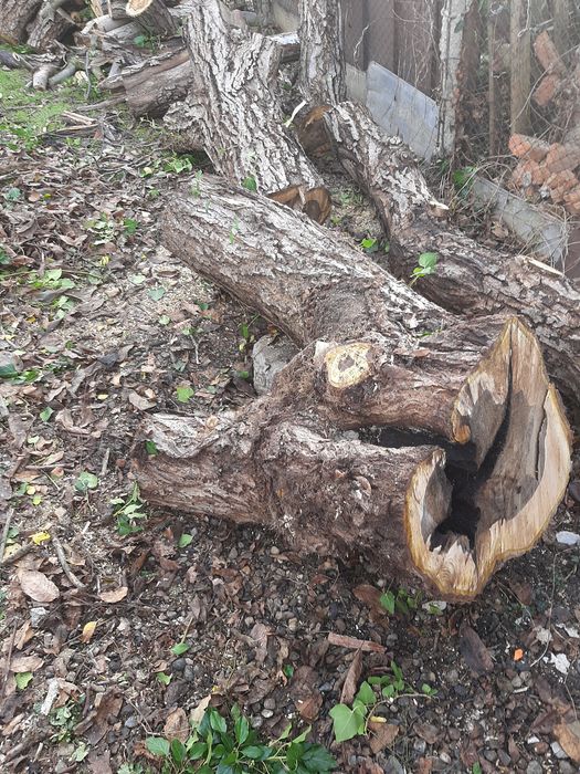 Trunchi de nuc pentru foastănă(blaturi trepte)