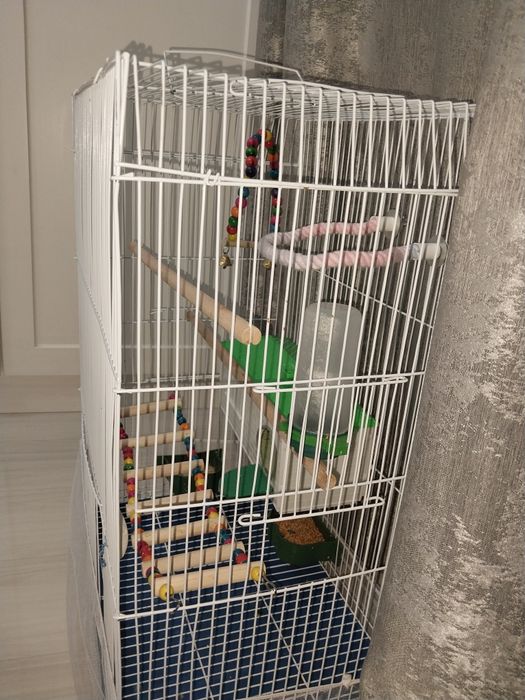 Папугайға арналған клетка