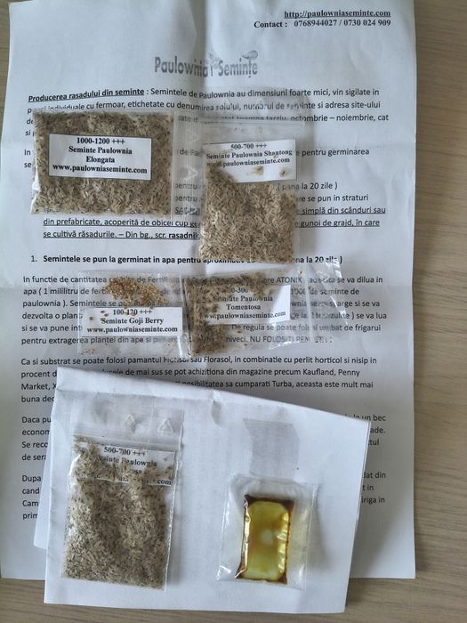 Semințe Pawlonia